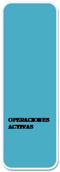 Rect�ngulo redondeado: OPERACIONES ACTIVAS
